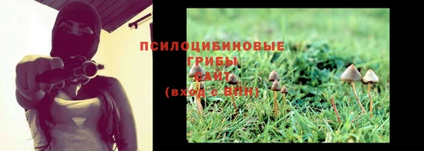Альфа ПВП Заволжск