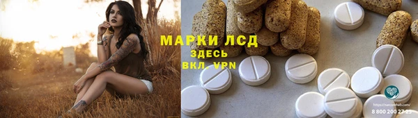 хмурый Губаха