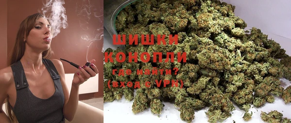 дурь Елабуга