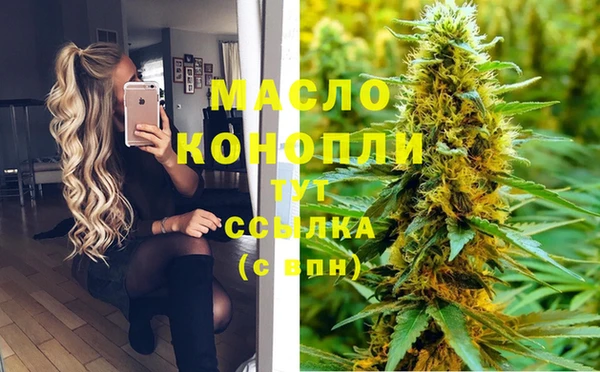 стаф Заводоуковск